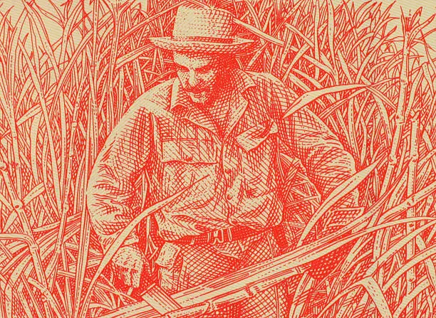 Ernesto Che Guevara in the Jungle on 3 Pesos 2004 Banknote from Cuba. Less than 30% of the banknote is visible.