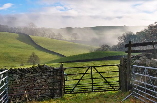istock Field Gate, Drystone Wall, and Rolling English Countryside 176797071