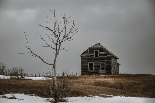 Old dilapidated farm house in green grassy field.