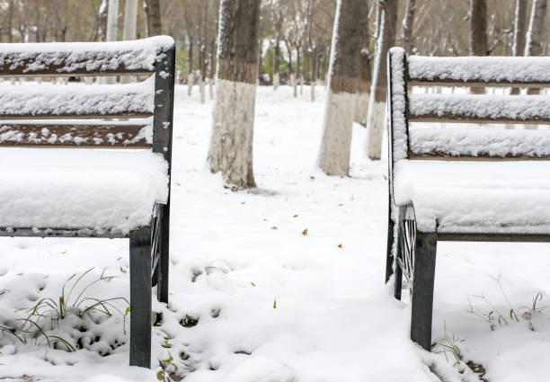 Snow-covered chairs by the woods after winter snow