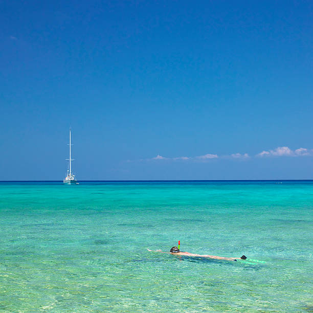 snorkeling "snorkeling, Maria la Gorda, Pinar del Rio Province, Cuba" maria la gorda stock pictures, royalty-free photos & images