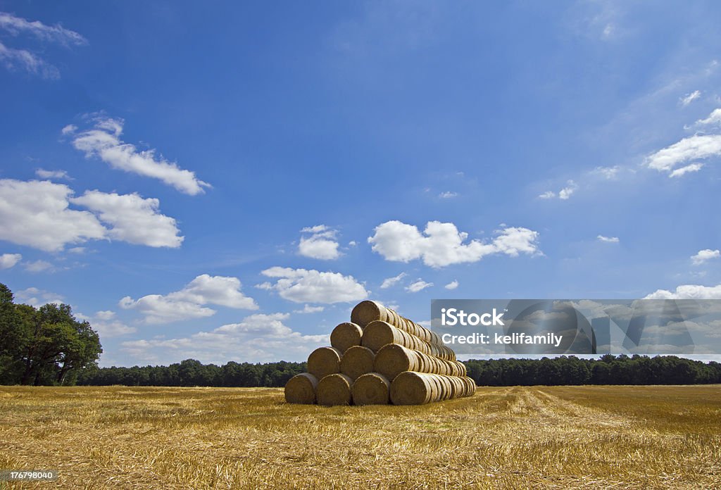 Empilhada fardos de feno - Foto de stock de Agricultura royalty-free