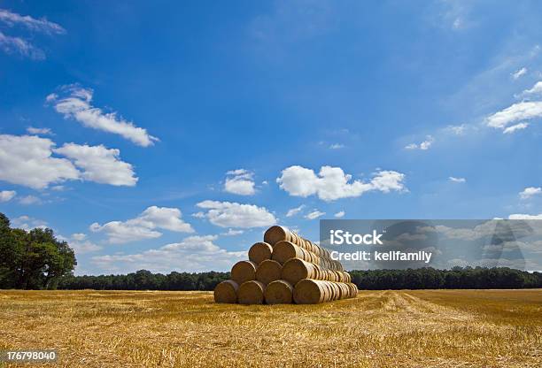 Foto de Empilhada Fardos De Feno e mais fotos de stock de Agricultura - Agricultura, Ajardinado, Beleza natural - Natureza