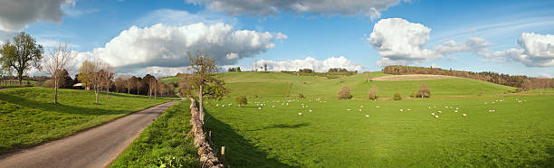 istock Springtime rural farmland panoramic scenic. 176798090