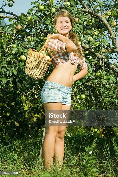 Girl Retiro Manzanas En La Huerta Foto de stock y más banco de imágenes de Adolescente - Adolescente, Adulto, Adulto joven