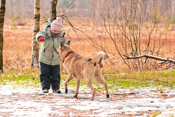 First snow. Little girl playing with her dog. stock photo