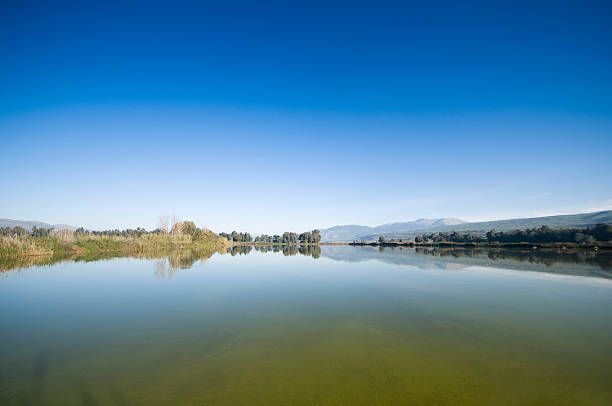 istock Fishing pool at northern israel 176798627