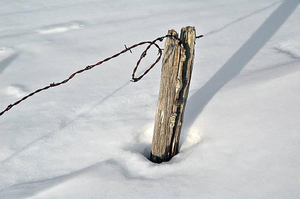 fil barbelé - winter wire barbed wire protection photos et images de collection
