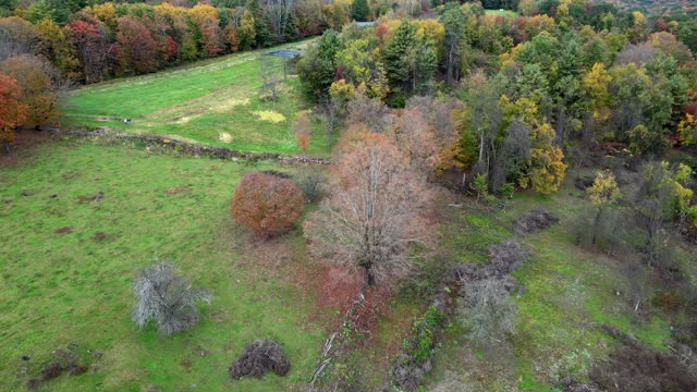 Aerial view of the beautifully colored fall foliage on a rainy day in Western Massachusetts