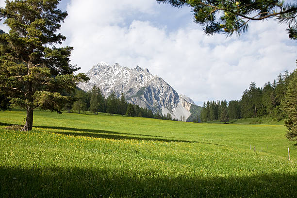 mountain scene stock photo