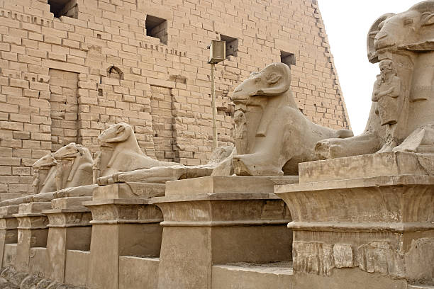 istock sphinxes at Precinct of Amun-Re 176800357