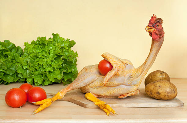 kurczak leżeć - meat raw animal skin naked zdjęcia i obrazy z banku zdjęć