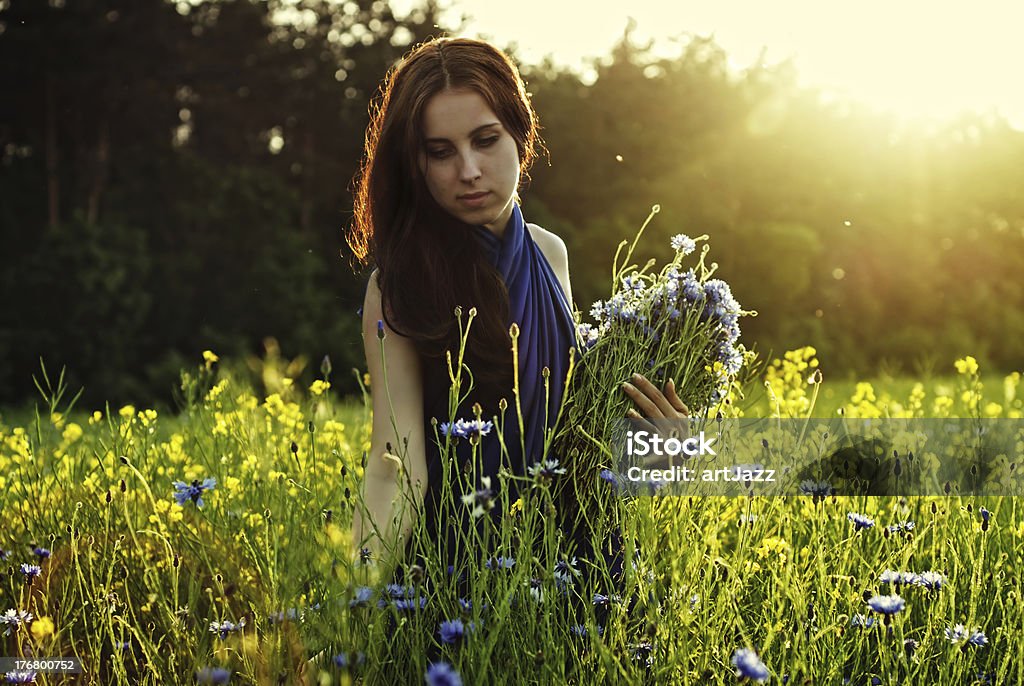 Girl gathering flowers on sunset Adult Stock Photo
