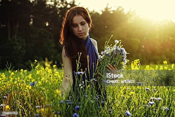 Girl Gathering Flowers On Sunset Stock Photo - Download Image Now - Adult, Adults Only, Agricultural Field