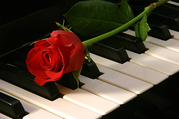 istock Love of Music - red rose 176800759