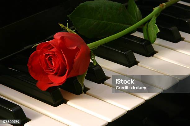 Love Of Music Red Rose Stock Photo - Download Image Now - Rose - Flower, Piano, Love - Emotion