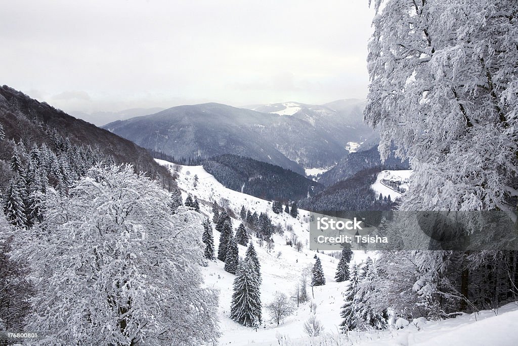 Schwarzwald, hiver - Photo de Allemagne libre de droits