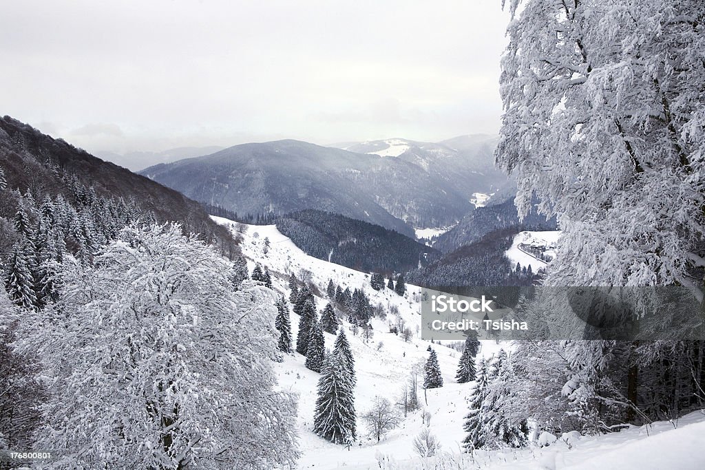 Шварцвальд, Winter - Стоковые фото Баден-Вюртемберг роялти-фри