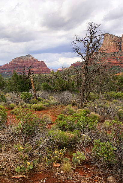 Before rainstorm stock photo