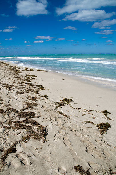 istock Idyllic Tropical Beach, Vacation, Fun in the Sun 176803213