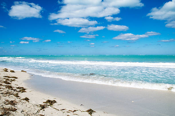 istock Idyllic Tropical Beach, Vacation, Fun in the Sun 176803219