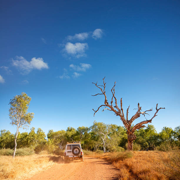 istock Outback Western Australia Kimberley Dirt Road 4X4 Gum Trees 176803317