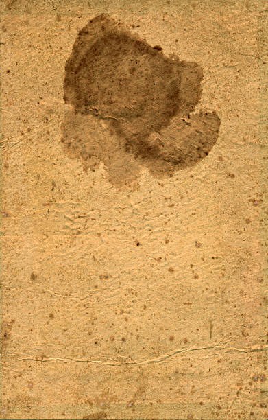 istock Vintage paper with spot 176803360