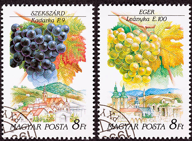 istock Canceled Hungarian Postage Stamp Celibrating Wine Making Regions Kadarka  Leányka 176803577