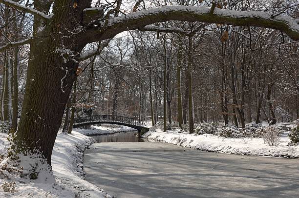 istock Cross Over - park in winter 176803719
