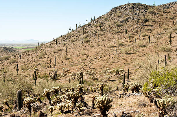 istock View from a Casa Grande Mountain trail 176803930
