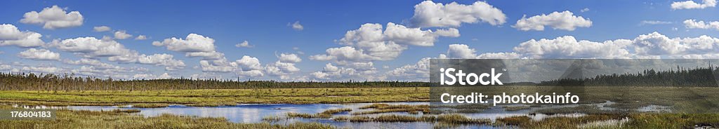 summer north bog meadow summer north marsh river meadow under blue sky and white clouds Animals In The Wild Stock Photo