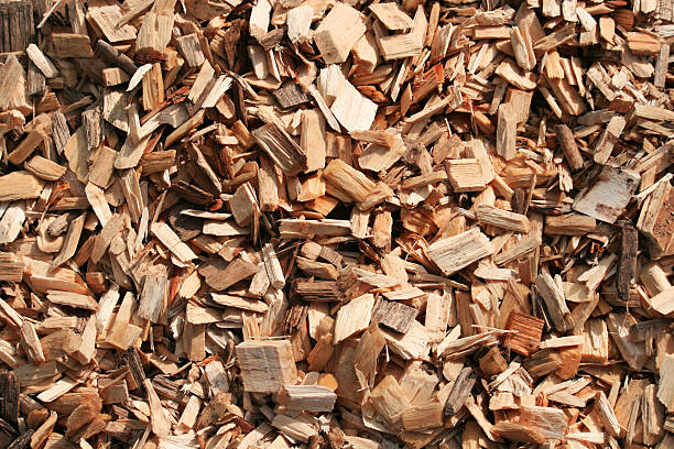 istock Wood Chips Before Becoming Garden Mulch 176804413