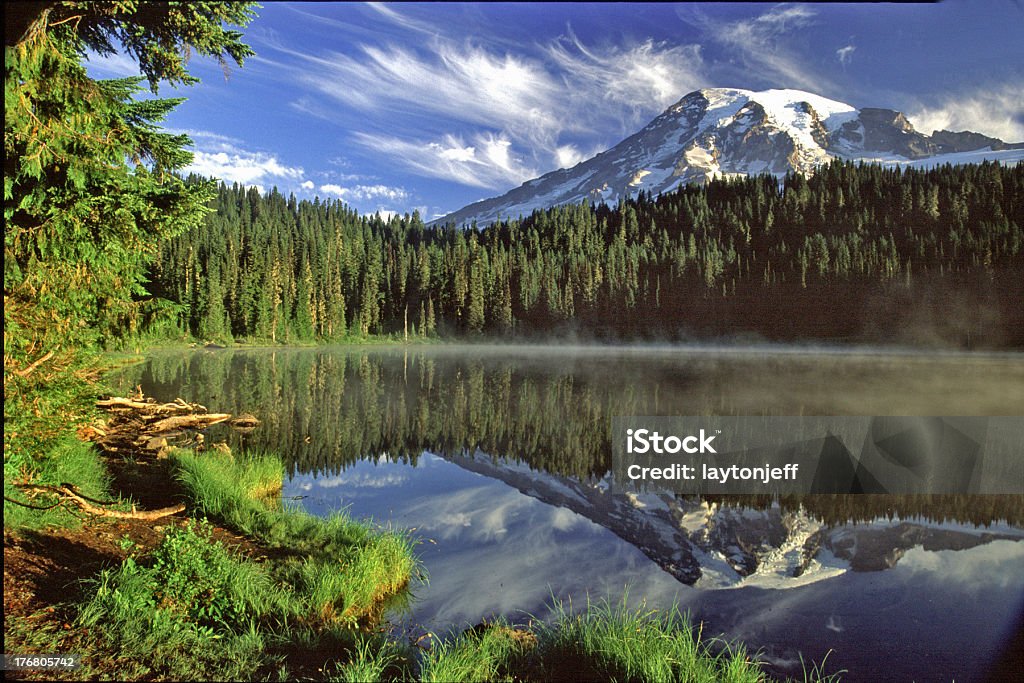 Reflection Lake, Mount Rainier National Park Washington "Scenic Mt. Rainier with Reflection Lake in the foreground, Douglas Fir and Cedar surround the lake" Douglas Fir Stock Photo