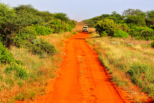 Game trails at Tsavo are a bright burnished red due to the presence of volcanic minerals and iron rich red clay deposits