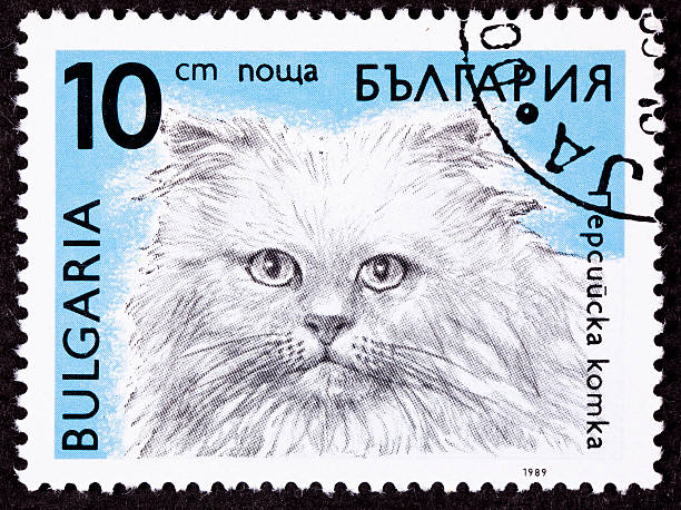 istock Canceled Bulgarian Postage Stamp Fuzzy Longhaired Himalayan Cat Breed 176806579