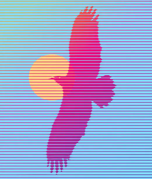 Vector illustration of Bald Eagle flying into sunset