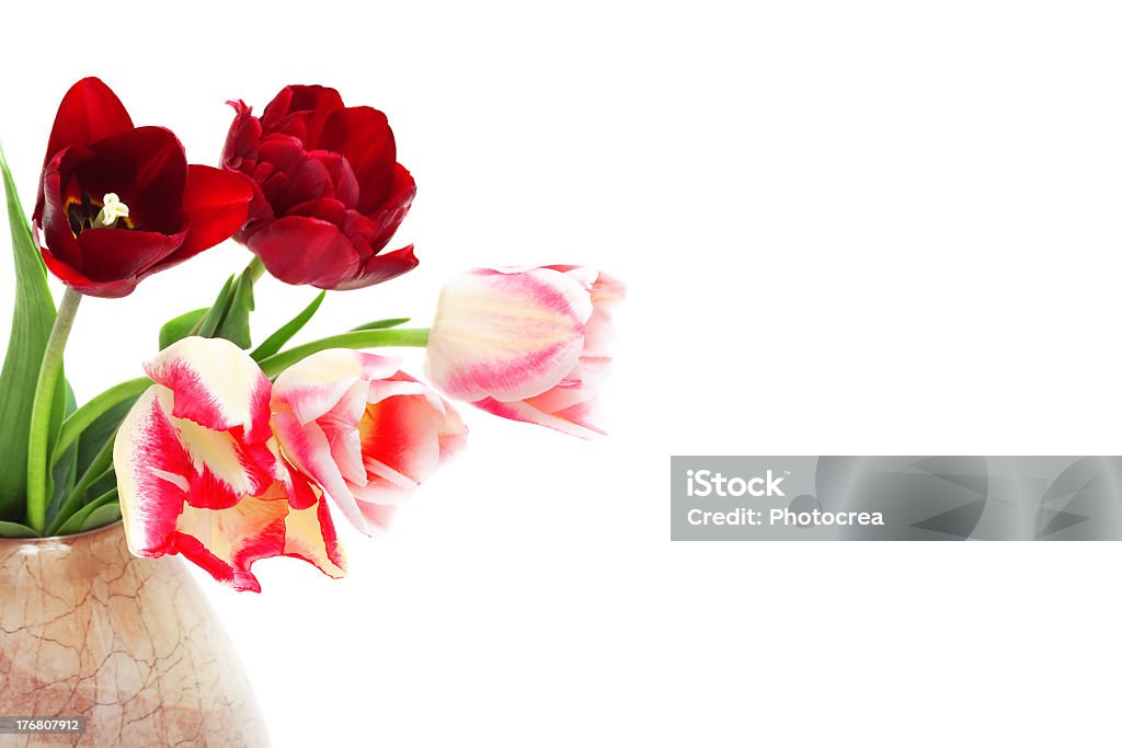 Bukiet kolorowych tulipanów w wazonie - Zbiór zdjęć royalty-free (Bez ludzi)