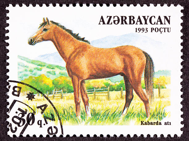 istock Canceled Azerbaijan Postage Stamp Brown, Kabarda Breed Horse Standing Pasture 176808547