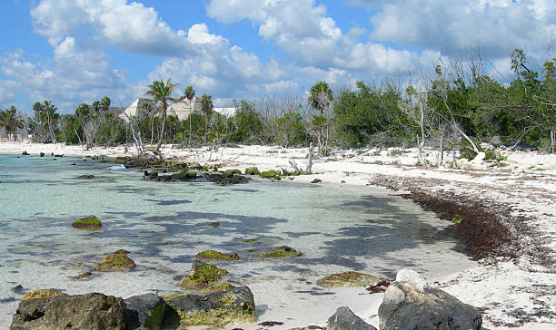 istock Caribbean beach in Cancun, Mexico 176808635