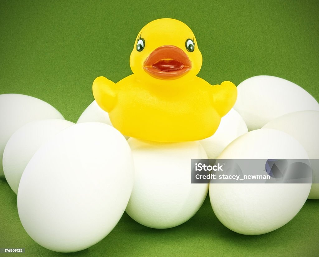 Rubber Ducky Bauchlage Eiern - Lizenzfrei Ei Stock-Foto