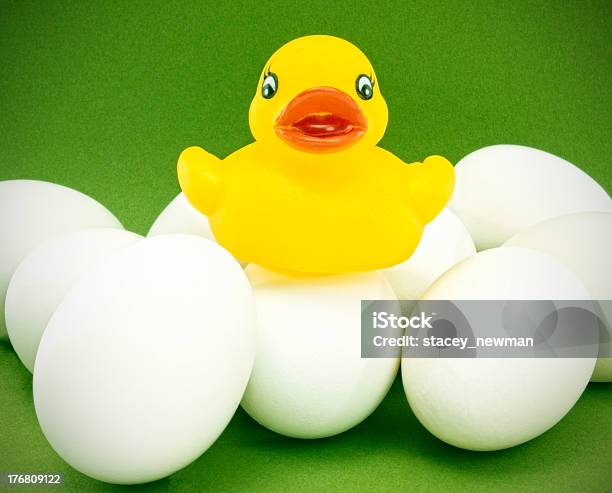 Резиновая Ducky Откладывание Яиц — стоковые фотографии и другие картинки Nest egg - английское выражение - Nest egg - английское выражение, Без людей, Горизонтальный