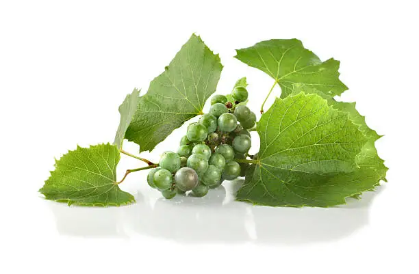 Grape isolated on white background