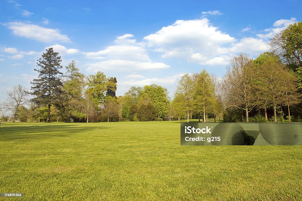 Magnifique Paysage rural - Photo de Arbre libre de droits