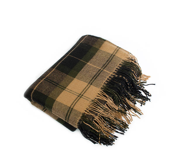 istock Soft and warm folded wool plaid with fringe, isolated 176811060