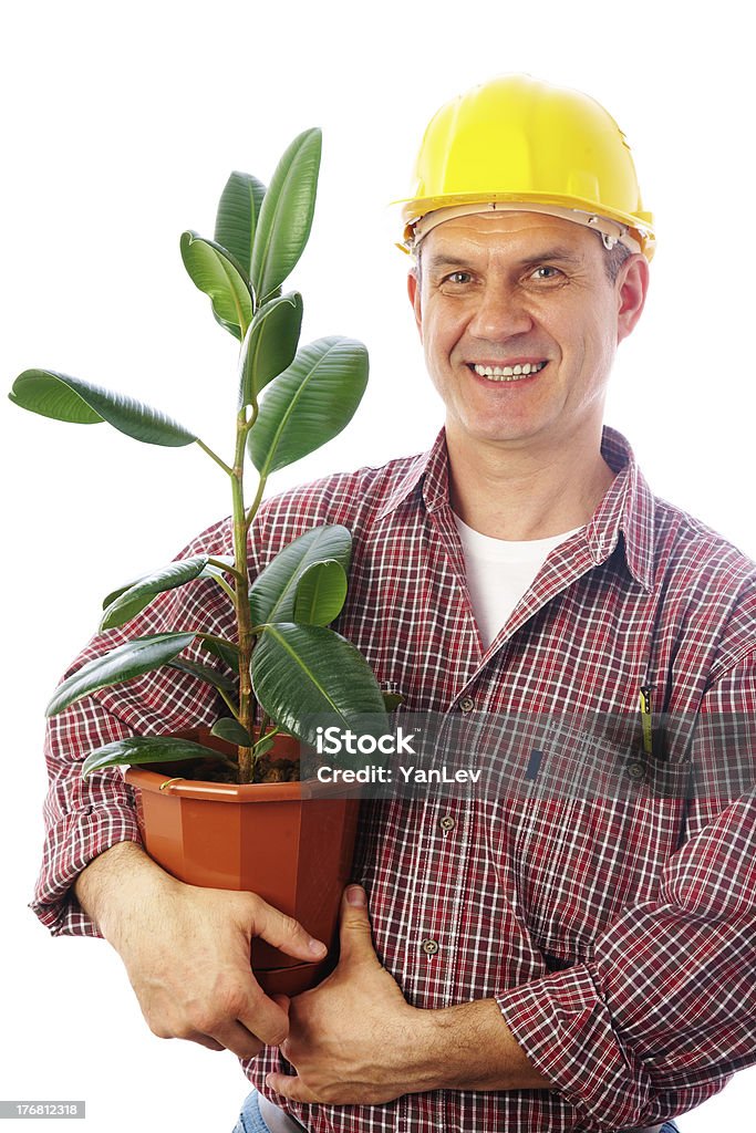 Construtor com ficus - Royalty-free Capacete Foto de stock