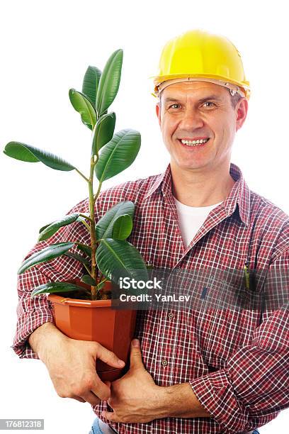 Construtor Com Ficus - Fotografias de stock e mais imagens de Capacete - Capacete, Capacete de Obra, Homens