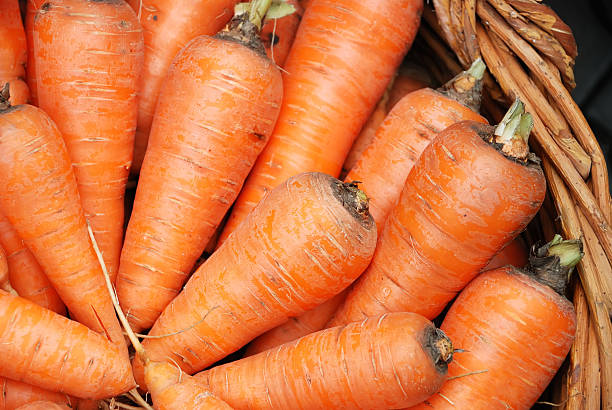 istock Carrots crop in a basket 176813017
