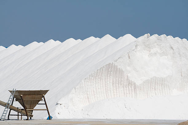 Sea Salt stock photo