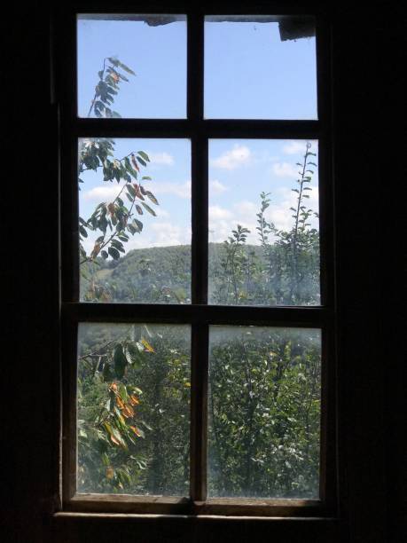 istock Window providing a scenic view of the forest outside 1768138524