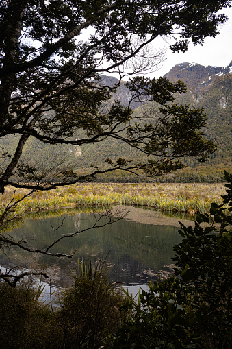 Mirror Lake, Fiordland, in New Zealand's South Island, on the Milford Highway